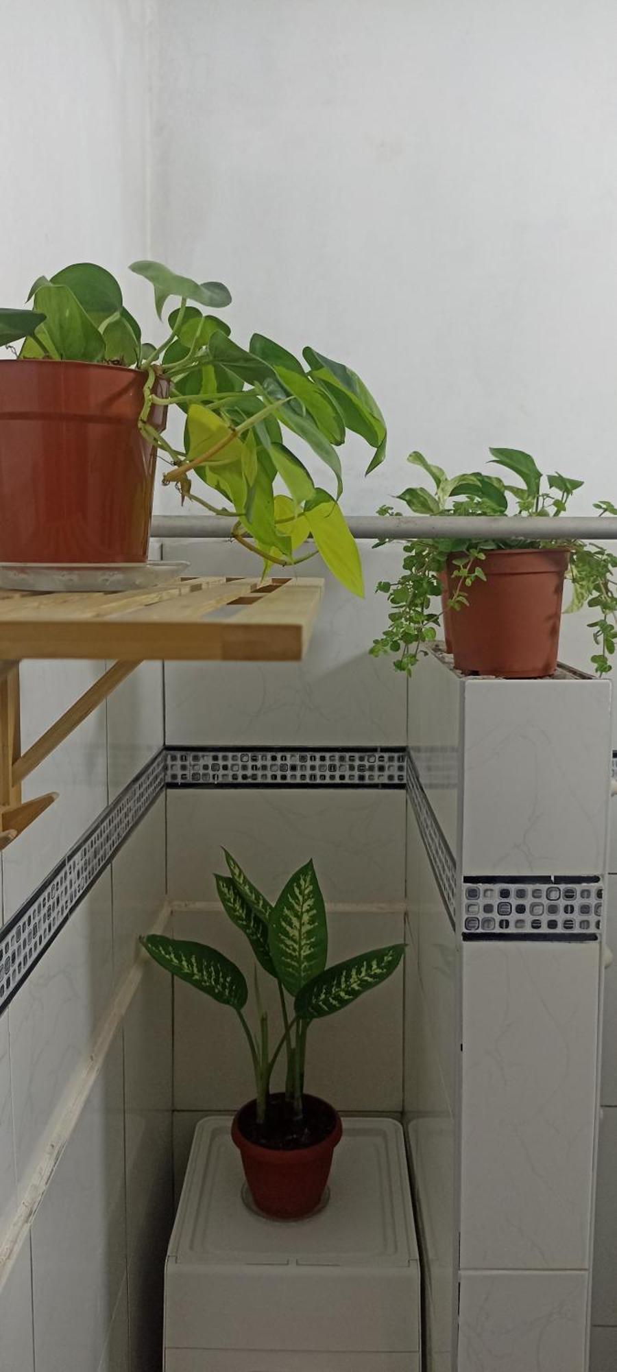 Casita Libertad Barranco Lejlighed Lima Eksteriør billede